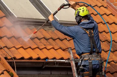Démoussage et hydrofuge de toiture à Lussas